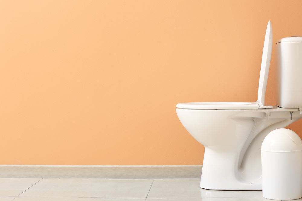 How To Prevent Pink Stains In Toilet Bowls Serratia Marcescens